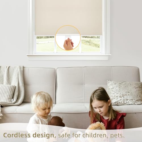 Cordless Blackout Roller Shades for Windows