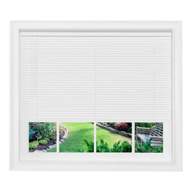 Achim Home Furnishings Cordless GII Morningstar 1" Light Filtering Mini Blind